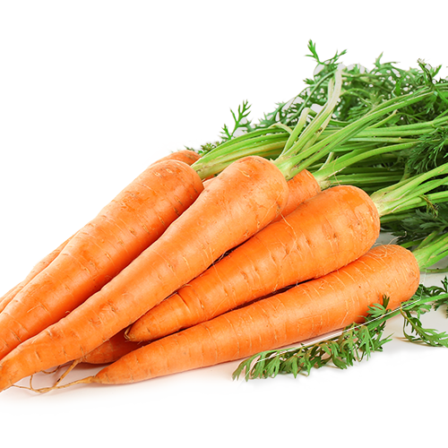 baby-carrot-vegetable-food-health-carrot-6849ce942a8a46fbf7159fa7a16a058d
