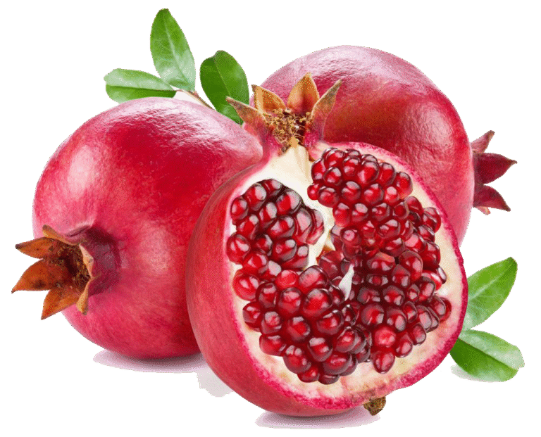 pomegranate-juice-fruit-clip-art-pomegranate-png-clipart-e368ebedaa726302d024093139672160